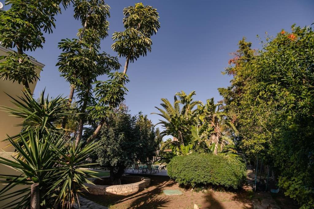 Villa Elmar Αίγινα Εξωτερικό φωτογραφία